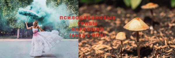 гидропоника Козловка