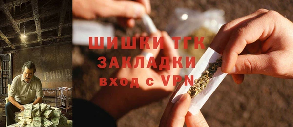 дживик Козельск